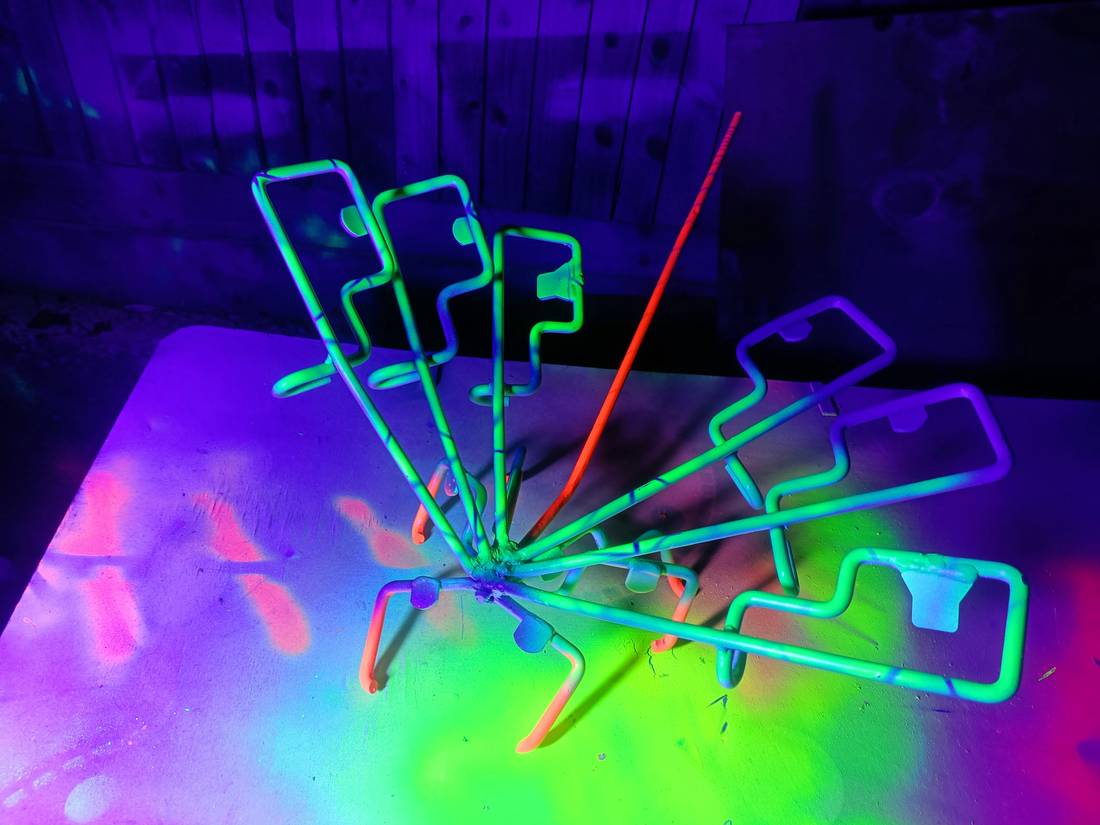 Insect form under UV, green and pink light