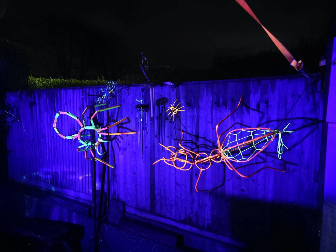 Spider and ant on the garden fence at night