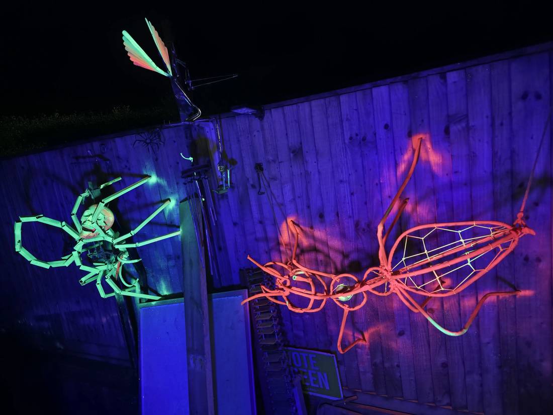 Green spider and orange ant under UV
