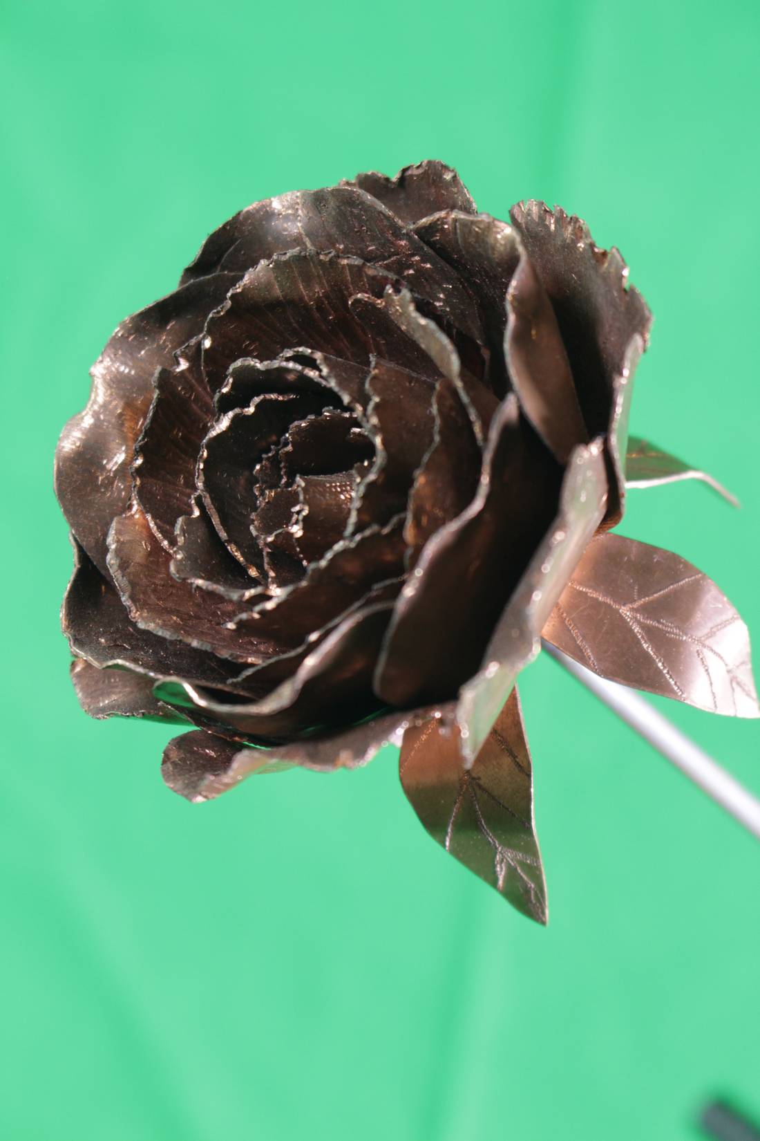 Single steel rose