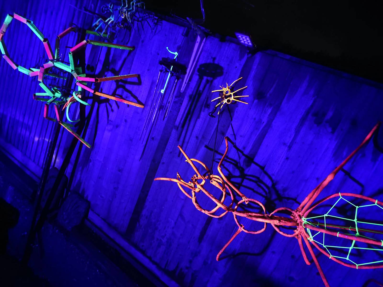 Welded steel spider and ant lit under UV against a garden fence